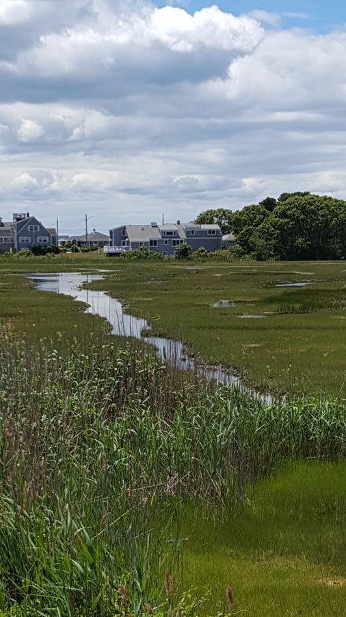 A Cape Cod Ocean Manor Inn Hyannis Exteriör bild